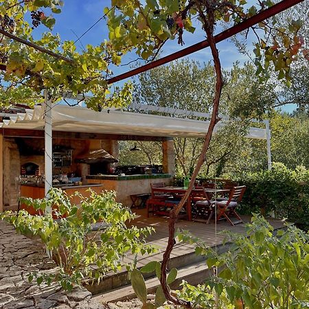 Glamping Do Ze Hotel Cernache do Bonjardim Luaran gambar