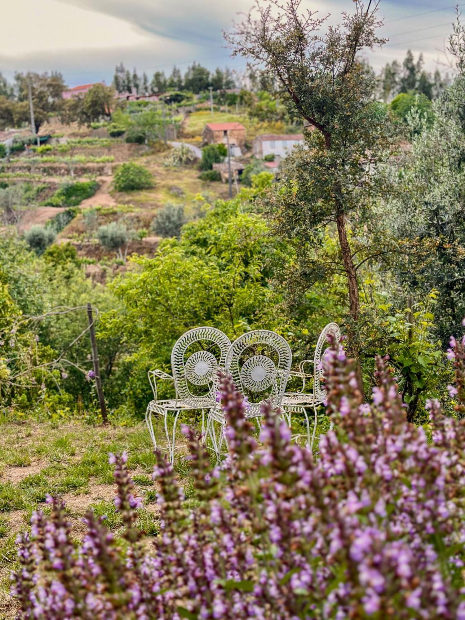 Glamping Do Ze Hotel Cernache do Bonjardim Luaran gambar